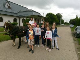 Süni Tábor 2020
